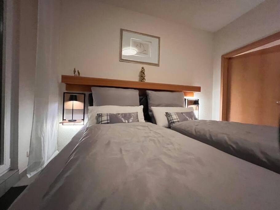 Penthouse - Panorama Suite - Hohegeiss Braunlage Eksteriør bilde