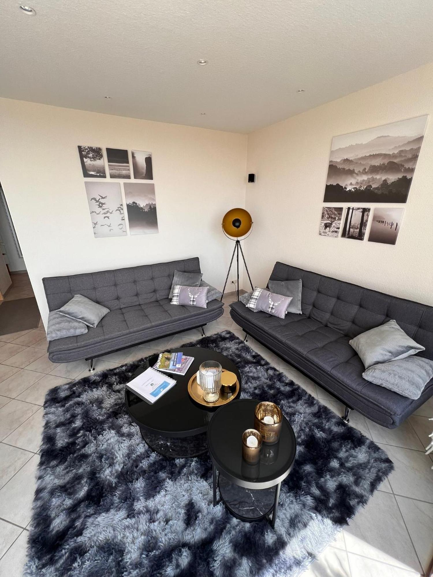 Penthouse - Panorama Suite - Hohegeiss Braunlage Eksteriør bilde